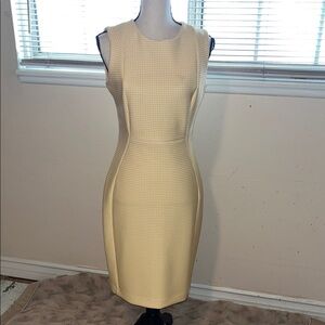 Pretty Scuba Yellow & White Sheath